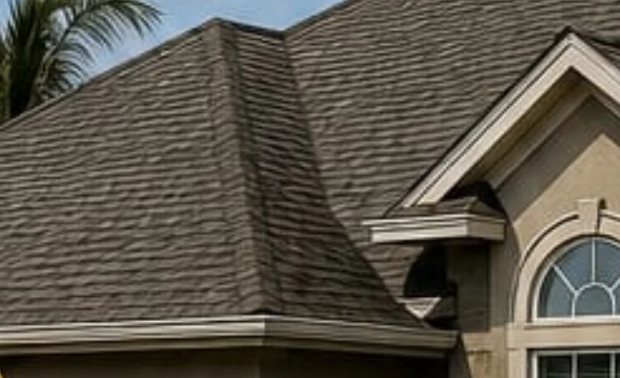 Exterior and roof maintenance